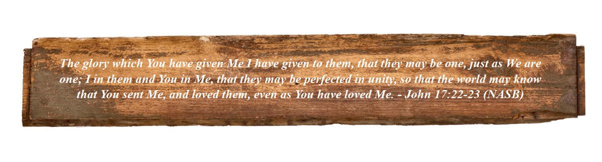 John 17:22-23 (NASB)